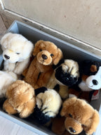 Siddende hund - Mops 15 cm