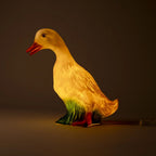 Lampe - And