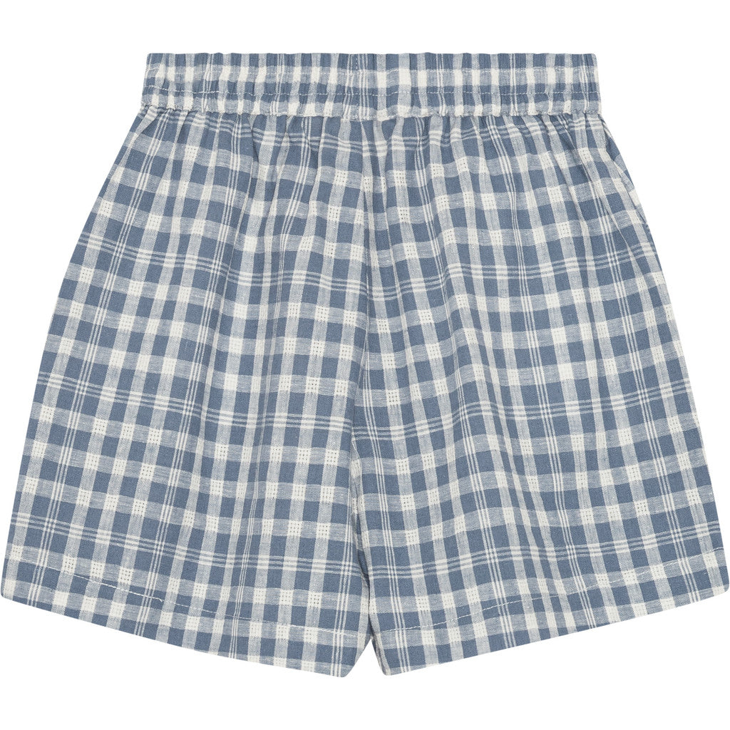 Theo Check Shorts - Blå/Hvidternet